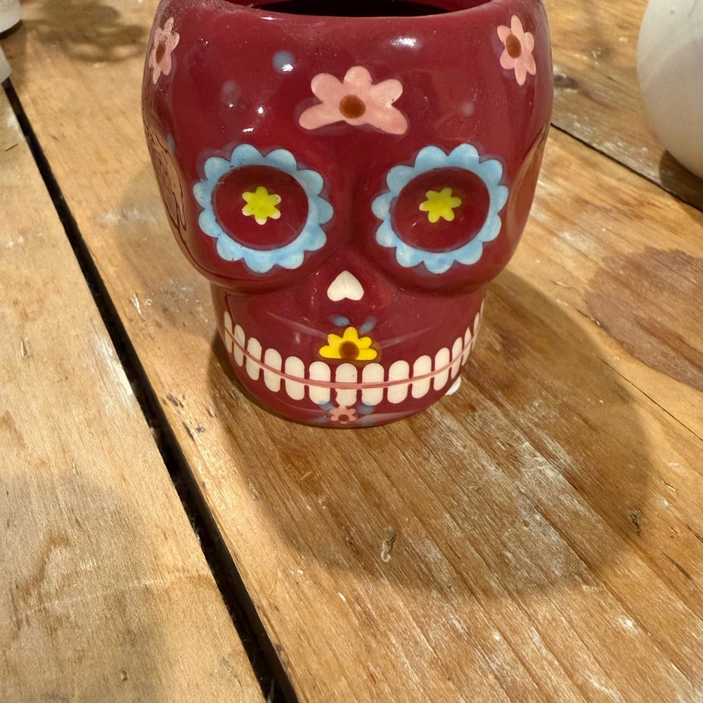 Trader Joe’s Day of the Dead Skull Planter